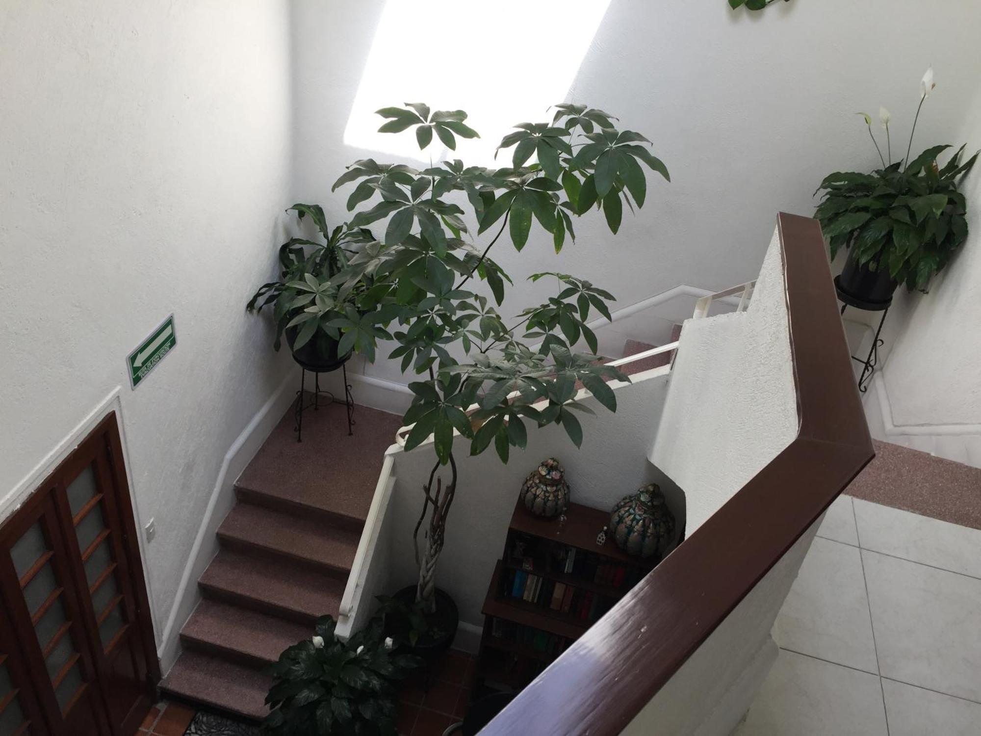 Casa Maria Elena Condesa (Adults Only) Hotel Mexico City Ngoại thất bức ảnh