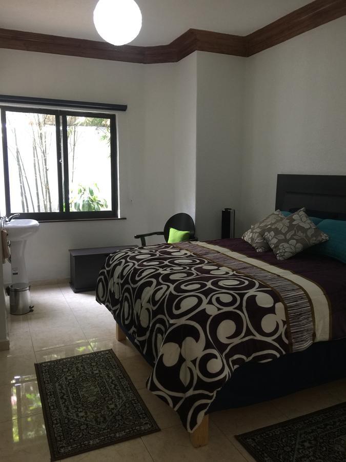 Casa Maria Elena Condesa (Adults Only) Hotel Mexico City Ngoại thất bức ảnh